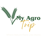 myagrotrip